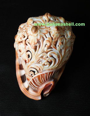 Cypraecassis Rufa Shell Carving Flower
