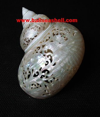 Green Turbo Shell Carving Bird Design