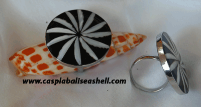 Seashell Cut & Stainless Ring