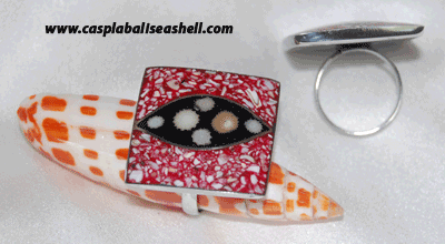 shell ring art