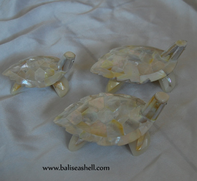 Set White Pearl Turtle Design Art