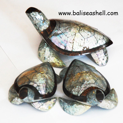Turtle Model Handmade