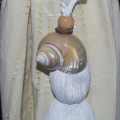 Turbo Petholatus Curtain Tieback