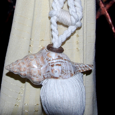 Curtain Tieback Pleuroploca Trapezium