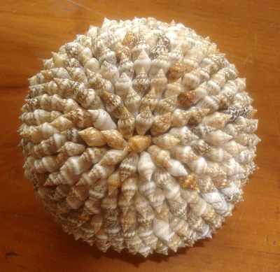 Small Shell Ball