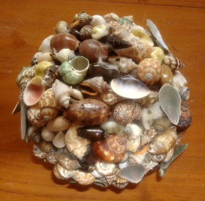 All Kind Small Shell Ball