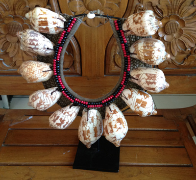 Cymbiola Nobilis Shell Necklace Native Decor