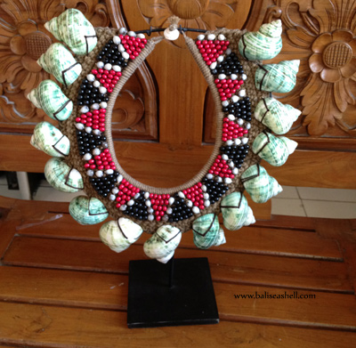 Turbo Setous Shell Art Necklace Decor