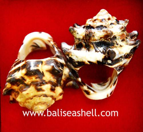 Shell Ring Art Bali