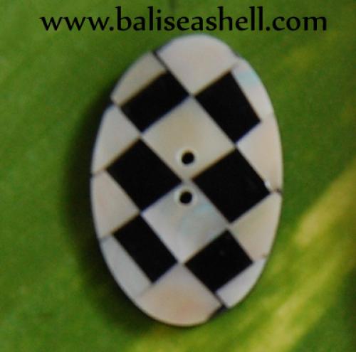 turridae or stick shell small