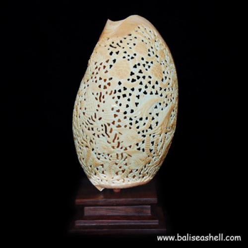Shell Bali Button