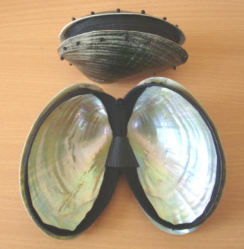 Shell Button Crafts Inlay Indonesia