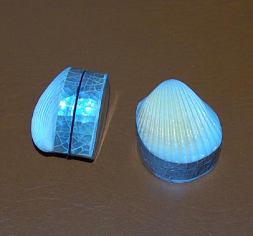 seashell necklace art jewelry