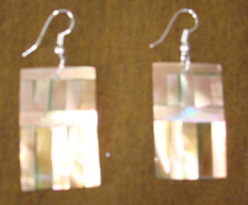 Conus Shell Earring Art