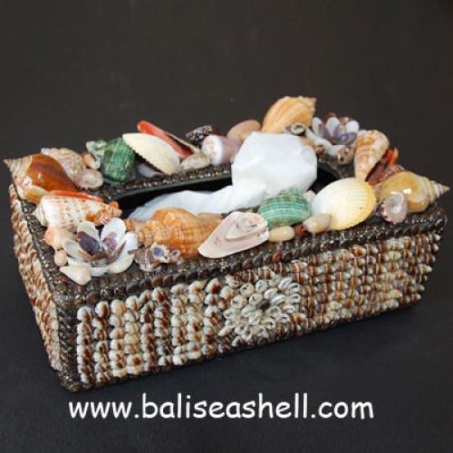 Curtain Tieback Sea Urchin