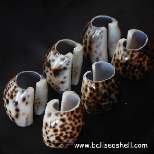 shell button from paua inlay love
