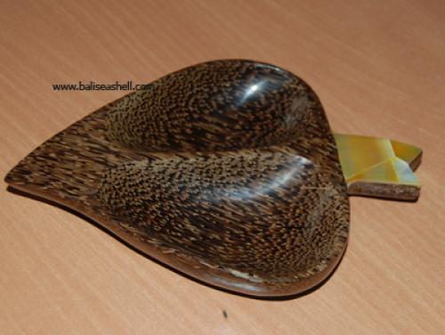 Turbo Petholatus Curtain Tieback