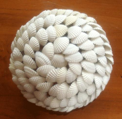 Set White Pearl Turtle Design Art