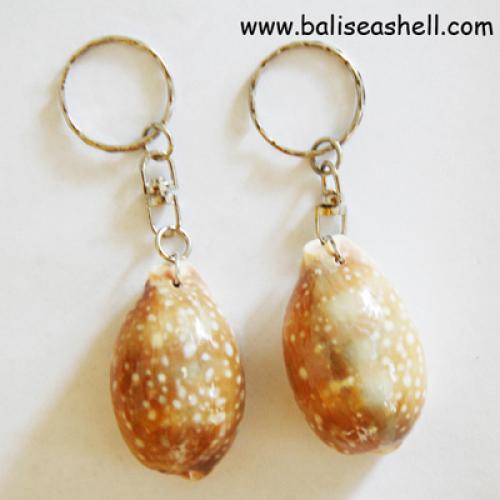 necklce tiger conus shell