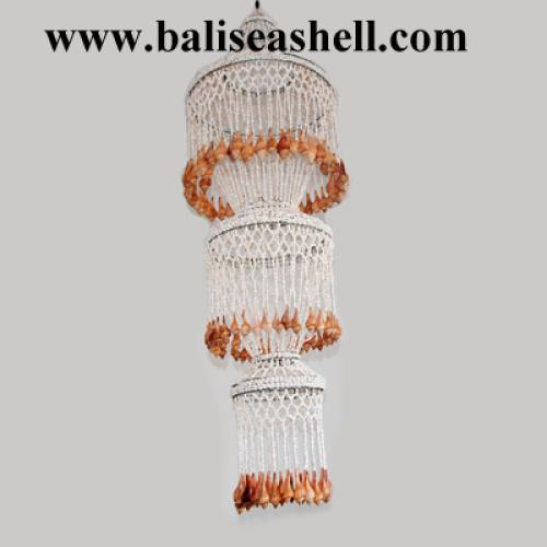 Conus Shell Earring Spiral