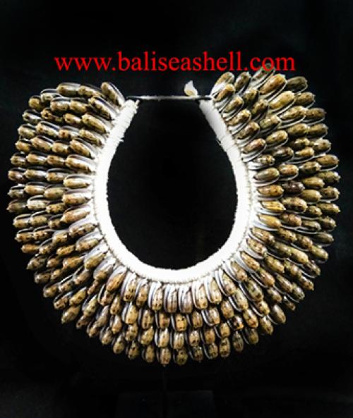 Paua Necklace Shell
