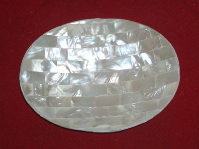 Pteria Penguin Shell Box Good Quality