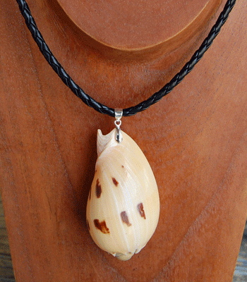 Turtle Crafts Shell Green And Recein